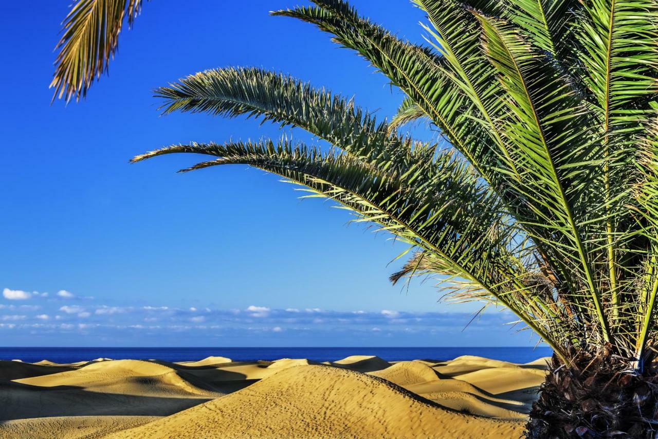 Las Adelfas South Beach 1 By Canariasgetaway San Agustín Kültér fotó
